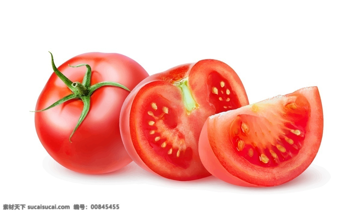 西红柿矢量图 番茄矢量 蔬菜矢量 蔬菜素材 蔬菜