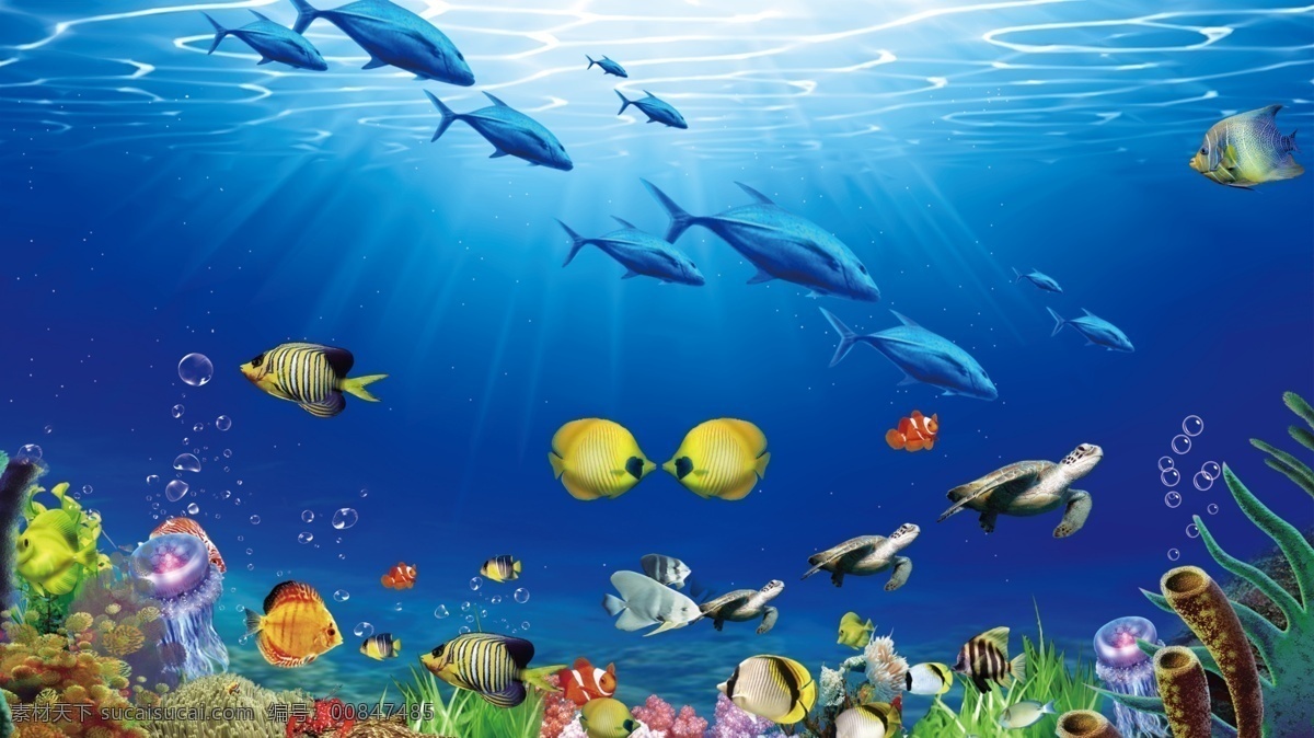 海底世界 海底 海豚 海洋馆 水底世界