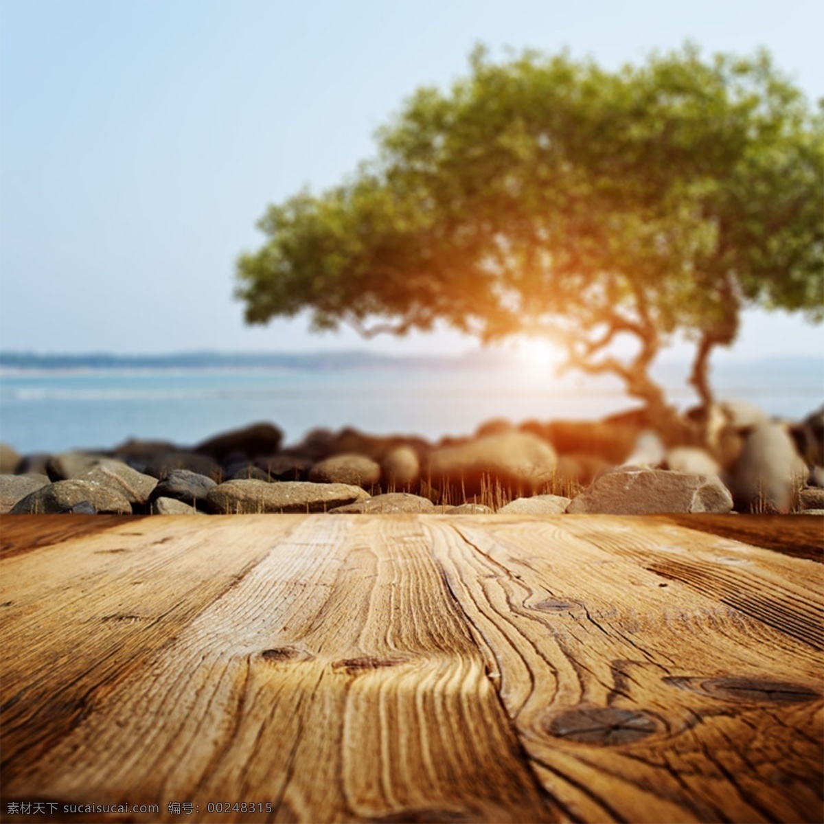 文艺摄影首图 木板 树木 大海 石头 棕色
