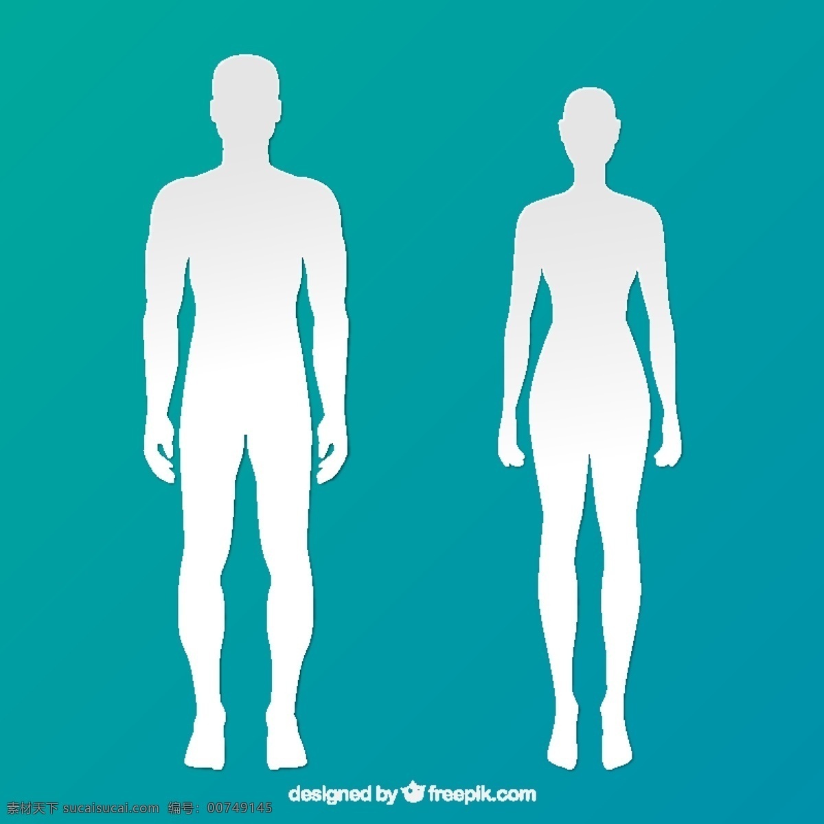 人体器官图标 剪影 人类 医药 女人 身体 生物学 解剖学 男性 男人 性别的剪影