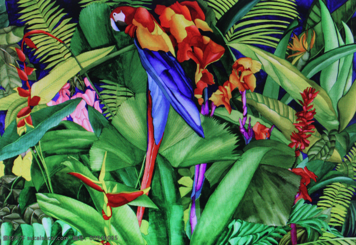 热带植物绘画 热带 植物 绘画 热带植物 油画 手绘 绿叶 花 热带风情 马赛克 鹦鹉 绘画书法 文化艺术