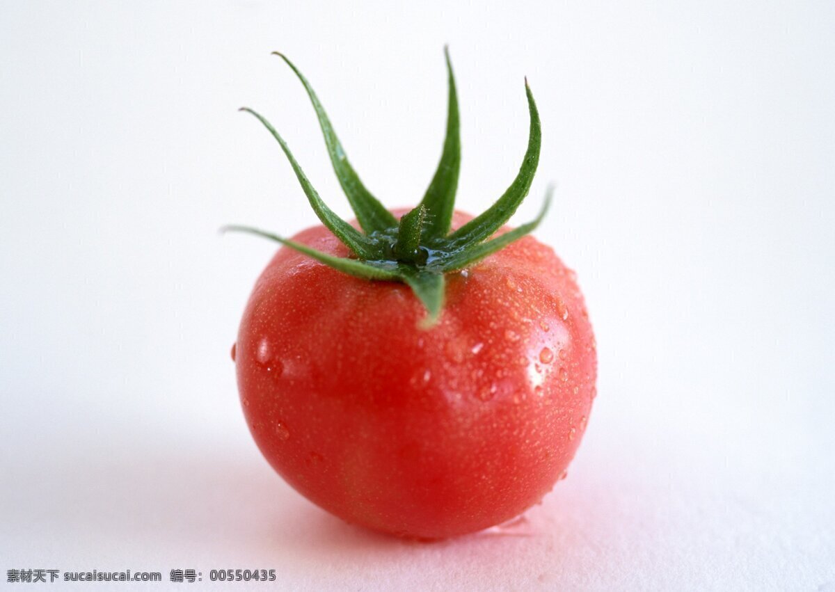 西红柿 瓜果蔬菜 绿色蔬菜 农作物 生物世界 蔬菜 新鲜蔬菜 风景 生活 旅游餐饮