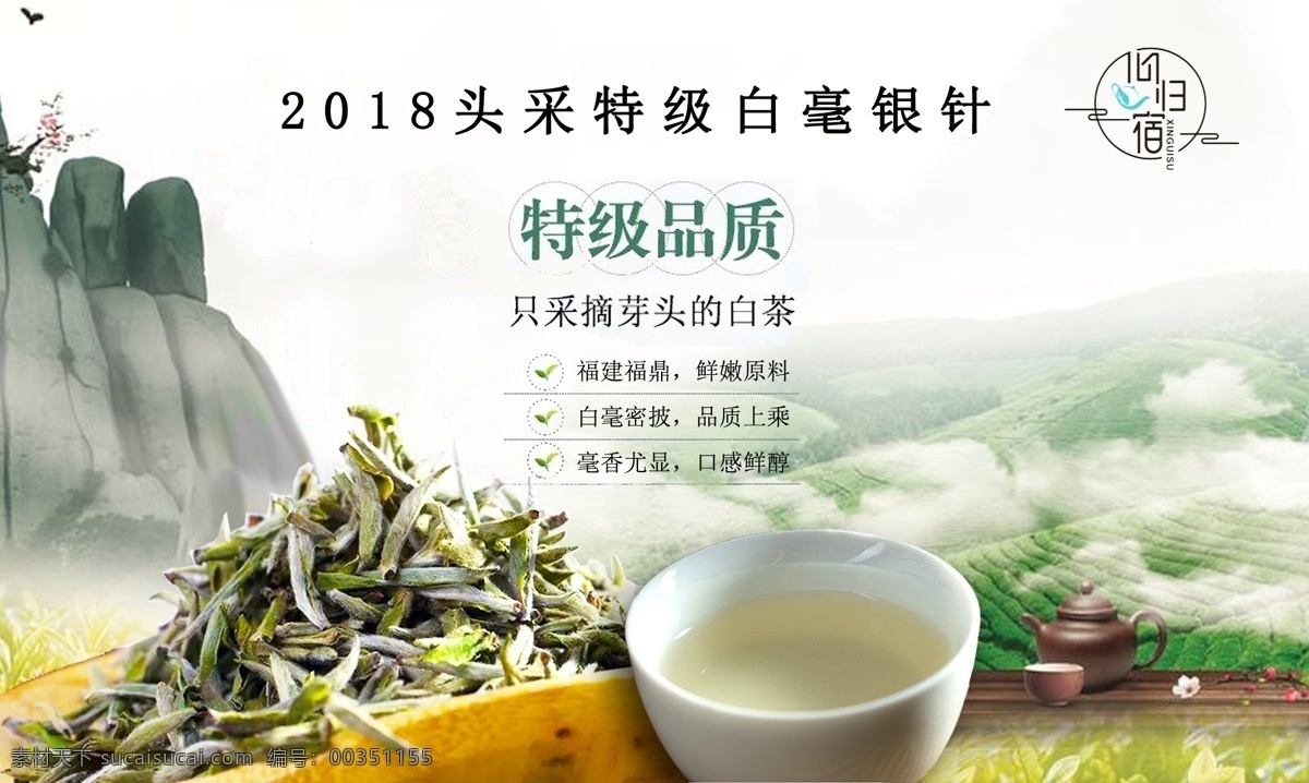 茶叶海报 白茶 茶叶 茶 海报 白毫银针 福鼎白茶 分层