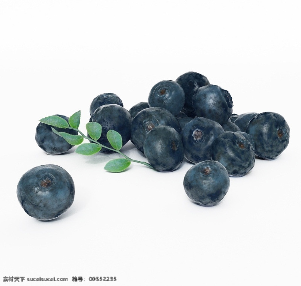 蓝莓三维模型 热带水果模型 水果3d模型 笃斯 笃柿 嘟嗜 都柿 甸果 笃斯越桔 水果 蔬菜 高精度 模型 其他模型 3d设计模型 源文件 max