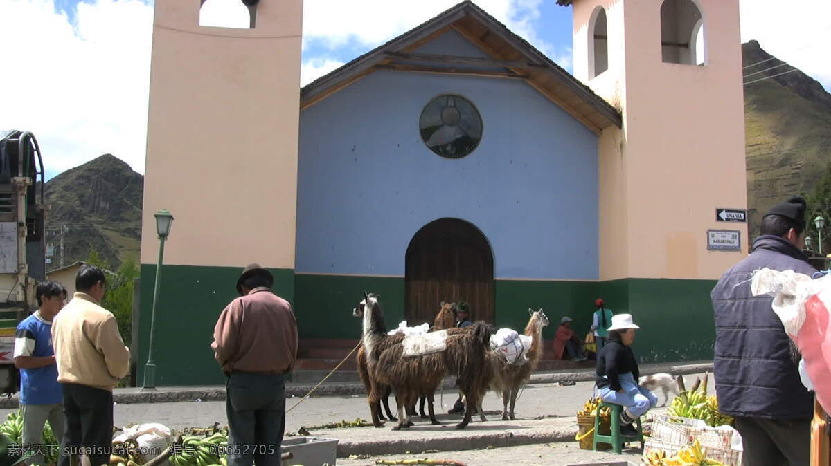 视频免费下载 厄瓜多尔 市场 股票 骆驼 录像