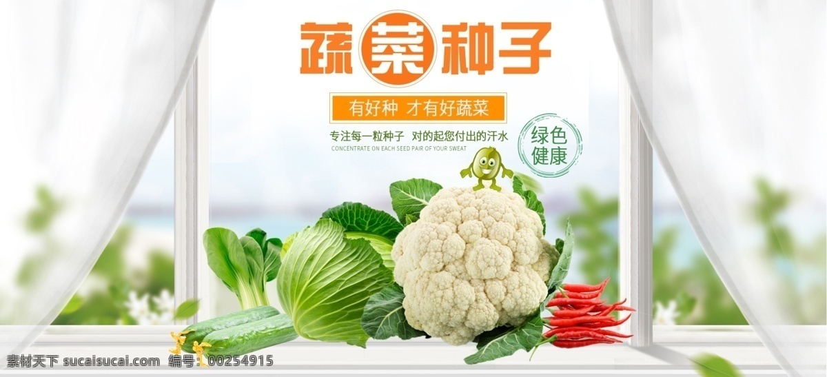 蔬菜种子 banner 蔬菜 种子 广告 淘宝界面设计 淘宝