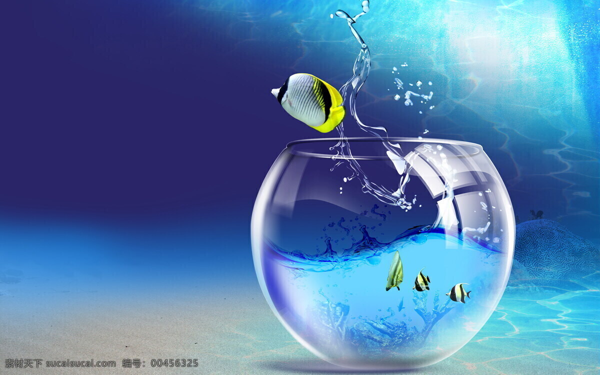 鱼缸 背景 壁纸 风景 生物世界 鱼 鱼类 屏保 桌面 水