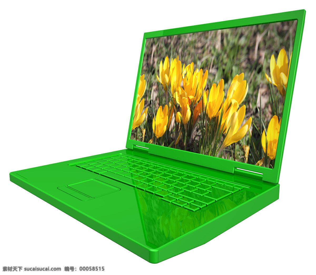 绿色 春天 笔记本 电脑 孤立在白色 生物世界