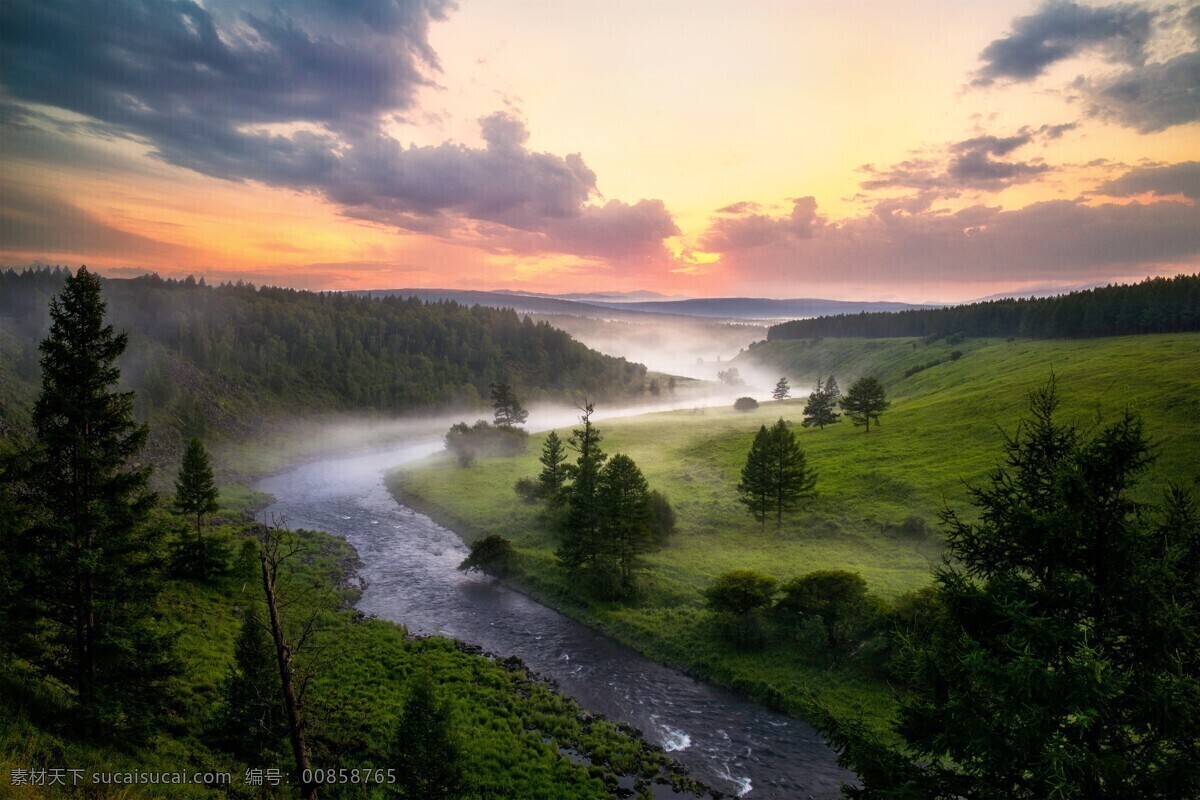 森林风景图片 自然景观 森林风景 行道树 行道树风景 自然风景 唯美风景 风景 风景图片 风景壁纸 大自然风景 自然风光 大自然风光 唯美图片 唯美壁纸 创意图片 植物 植物图片 绿色植物 花草树木 电脑壁纸 美景 美景图片 美景壁纸 旅游风景 森林 森林景观 森林植物