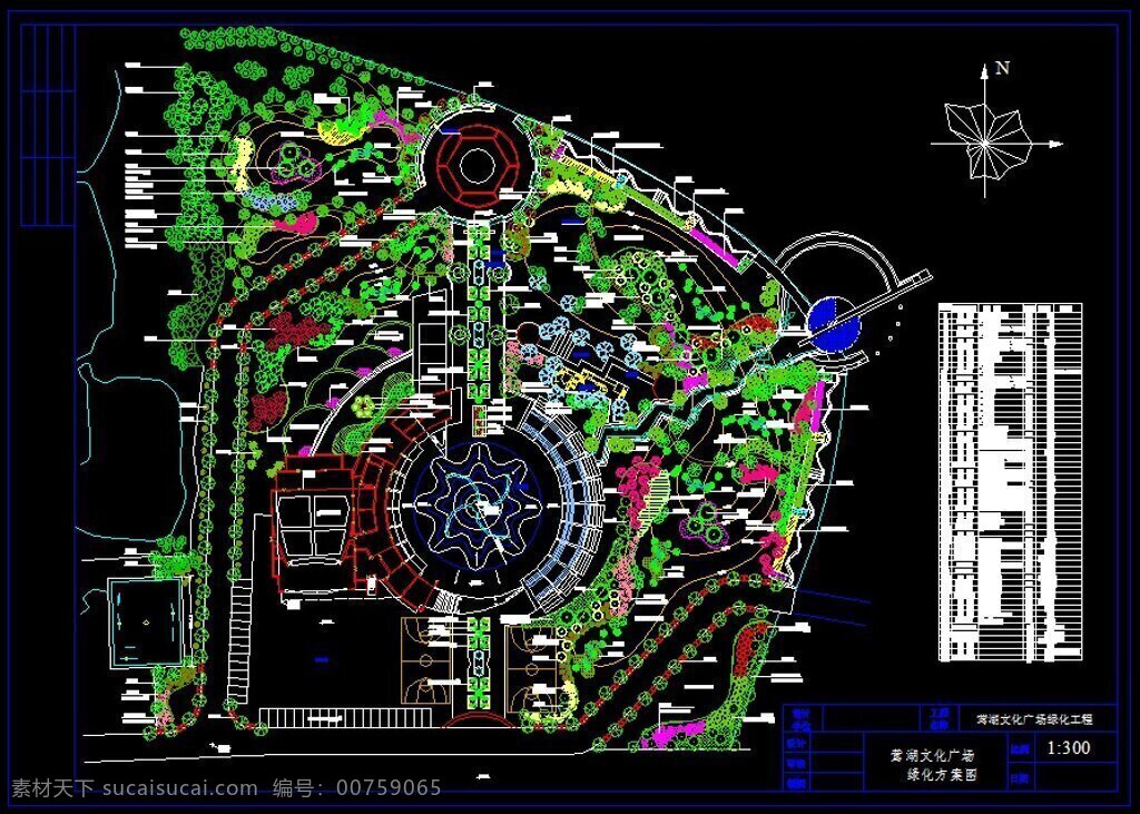 莺 湖 文化 广场 种植 平面图 文化广场 dwg 黑色