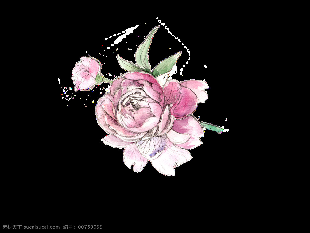 清新 手绘 月季花 装饰 图案 玫瑰花 蔷薇花 月季 绿叶 绽开的花