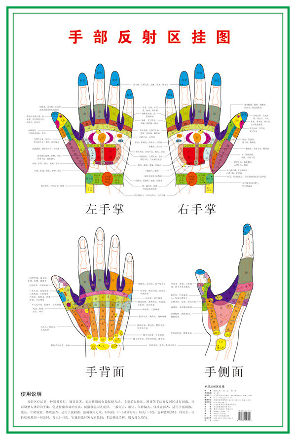 彩色 手部 反射 区 挂图 分层 彩色医疗挂图 穴位 身体保健 健康经脉图 手部结构图 手部线条图 白色