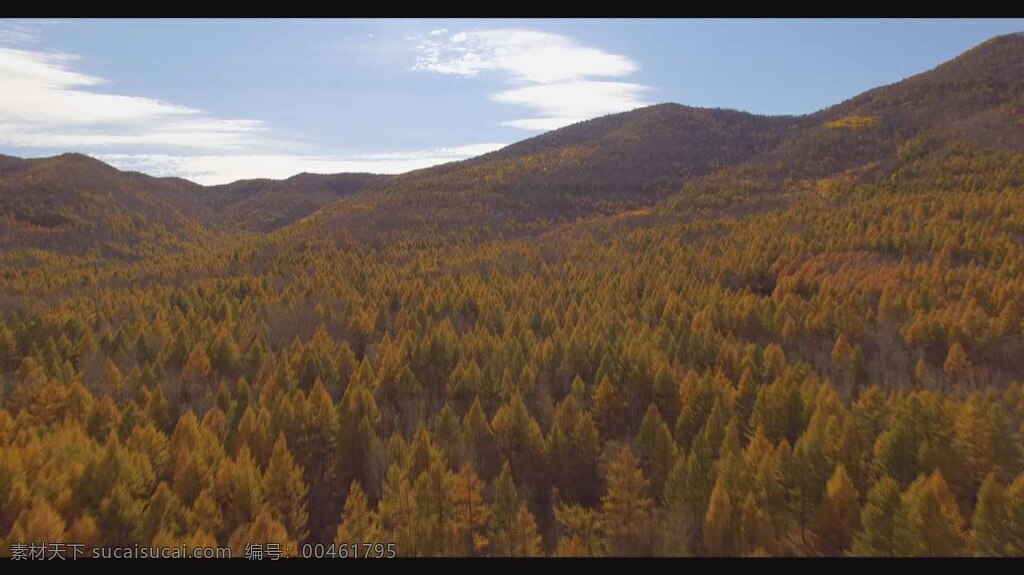 丛林 染 实拍 视频 丛林尽染 大气美丽 风景 秋天的山林 自然