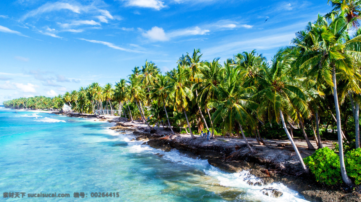 热带 海边 椰子树 蓝天 白云 热带椰子树 蓝天白云 蓝色海水 海岸 热带风景 夏季风光 旅游摄影 自然风景