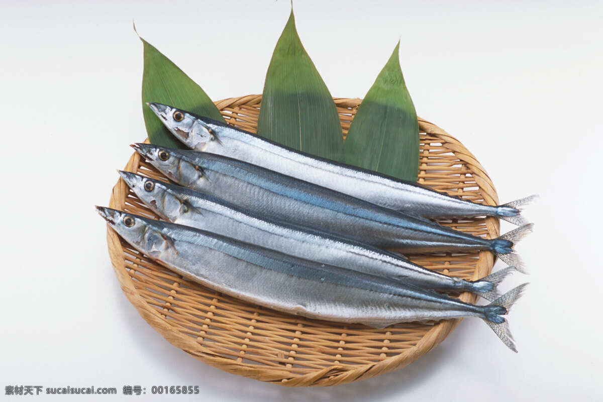 海洋鱼类 餐饮美食 海鲜 海洋生物 海鱼 美味 食物原料 鱼类 洋鱼类 海洋资源 生物世界