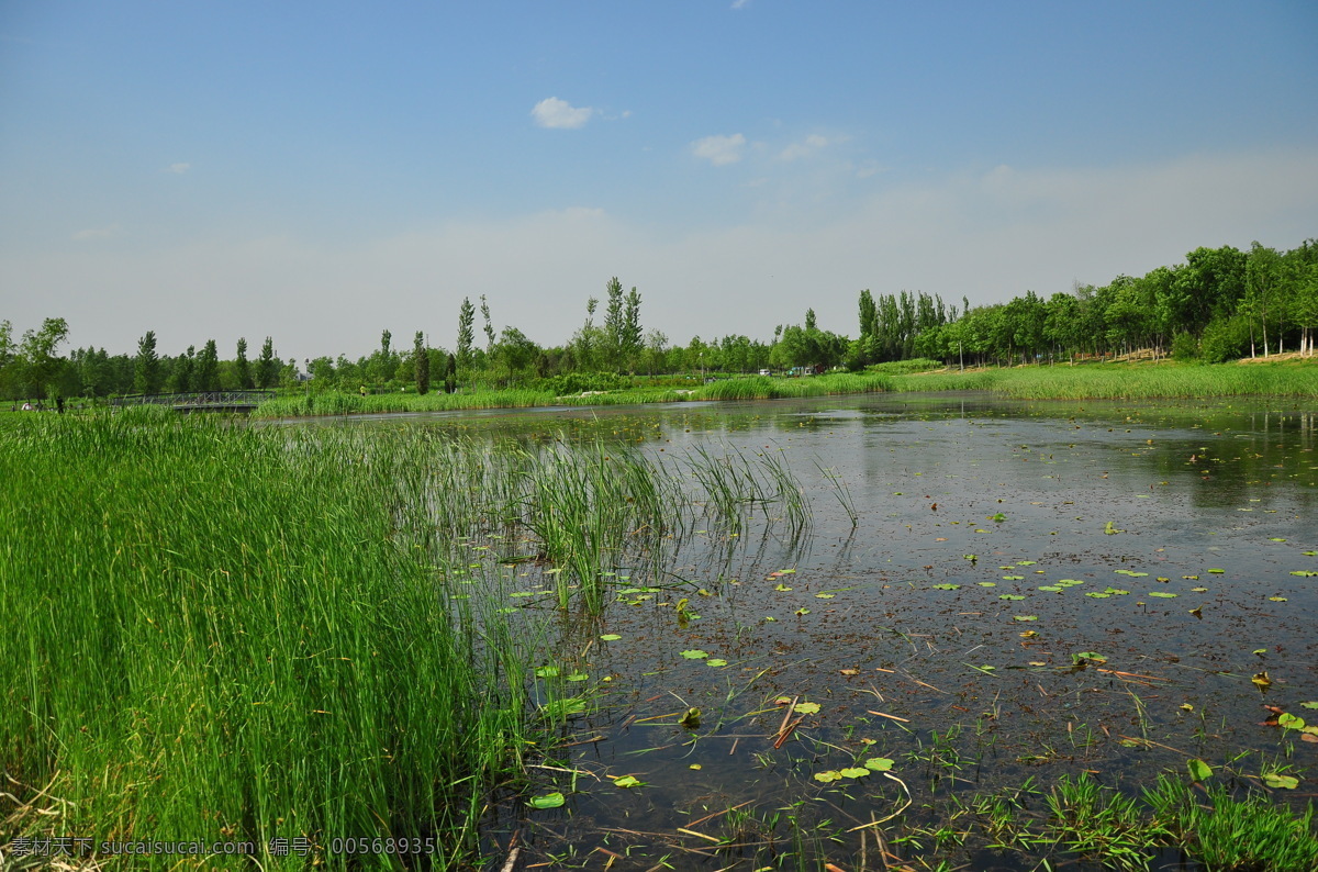 水景 风景优美 最美景观 明媚风光 高清美景 树木 天空 田园 实拍素材 自然景观 自然风景