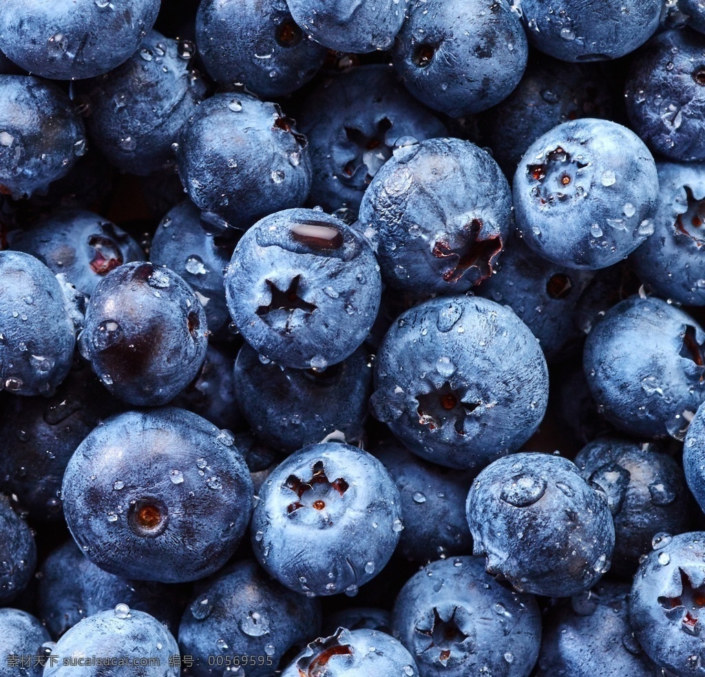 唯美 植物 自然 鲜果 新鲜 水果 原生态水果 蓝莓 莓子 生物世界