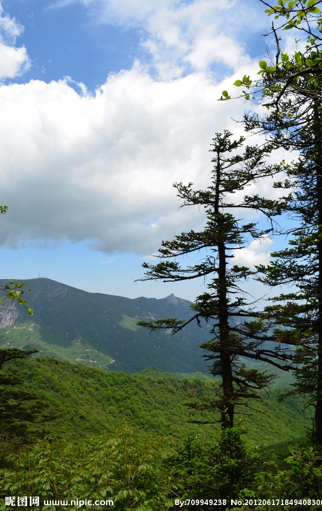 沣峪分水岭 蓝天 白云 阳光 植被 灌木 天空 远山 大山 小草 松树 云层 光影 秦岭 夏天 辽阔 秦岭山水 自然风景 自然景观