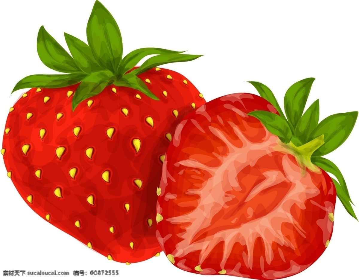 矢量 草莓 海报 宣传 复古 水果 手绘 插图 插画 食物 美食 甜点 生活百科 餐饮美食