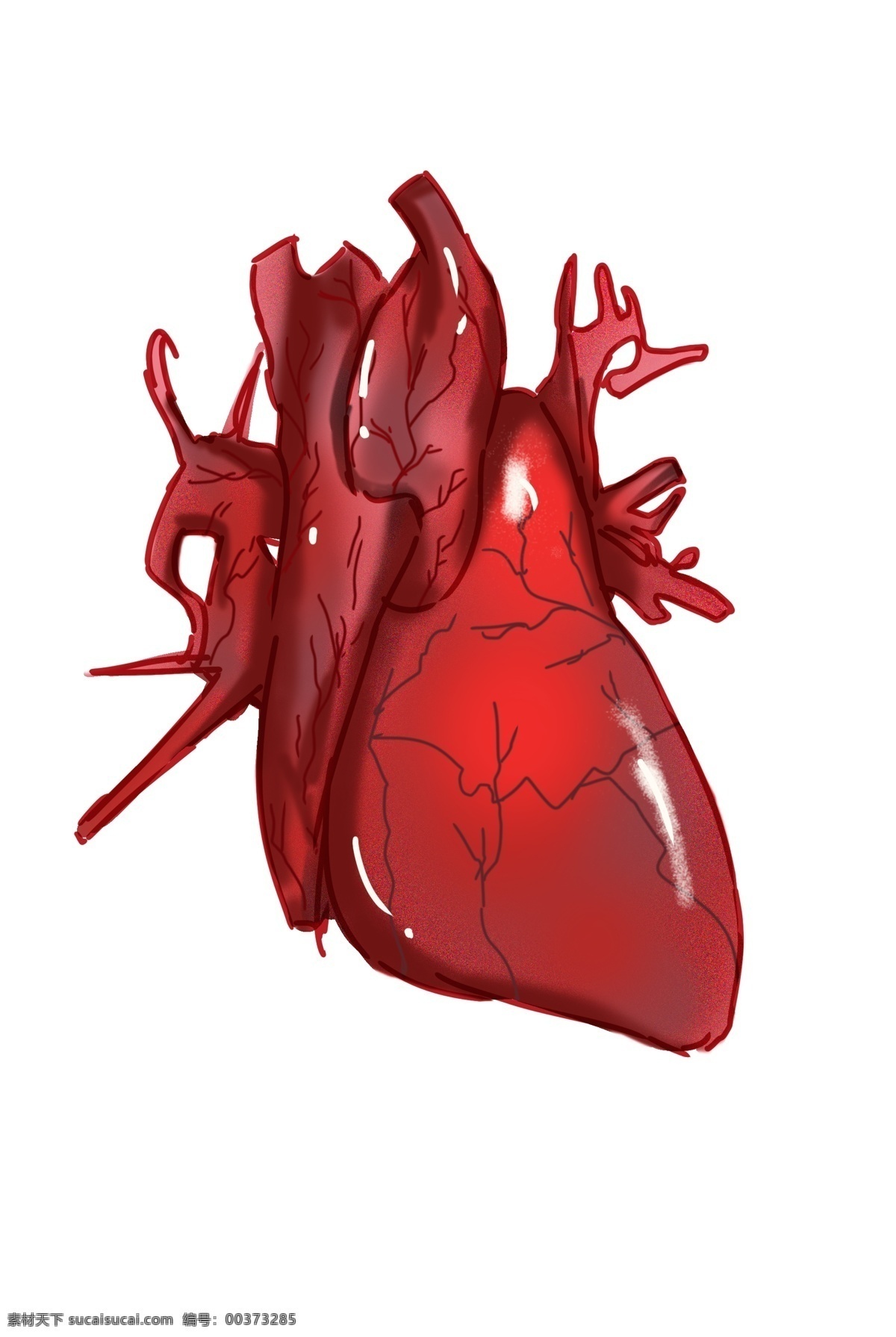 红色 心脏 装饰 插画 红色的心脏 漂亮的心脏 健康的心脏 跳动的心脏 心脏装饰 心脏插画 人体器官心脏