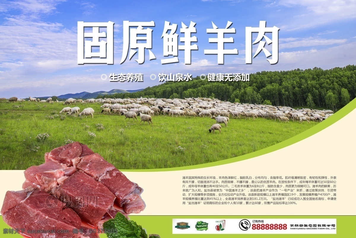 牛羊肉宣传 广告宣传 展板 分层可修改
