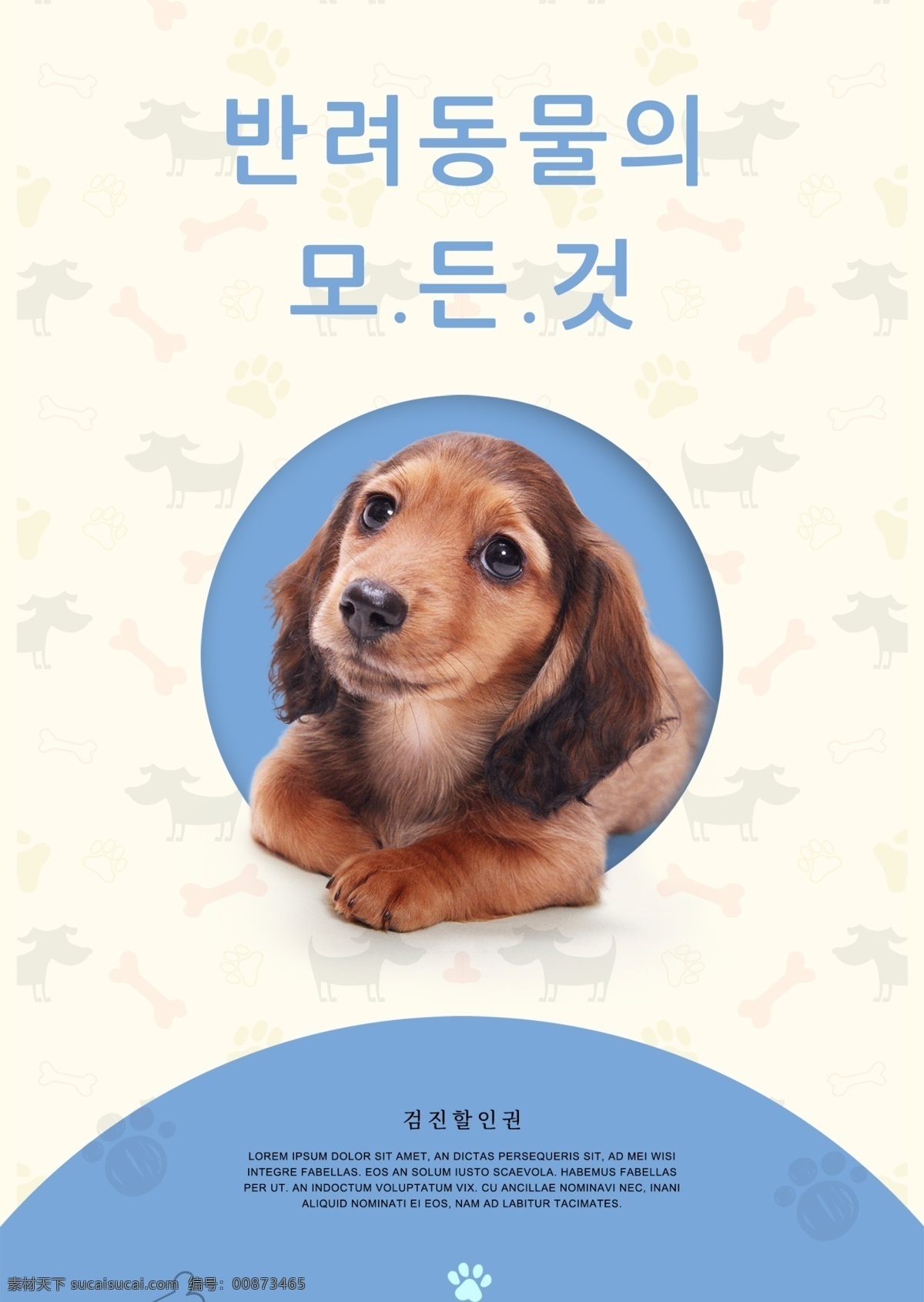 新鲜 简单 宠物 店 宣传海报 谈谈关于 简单的海报 宠物商店 可爱的狗 海报 动物 爱宠物 宠物系列 宠物广告 溺爱