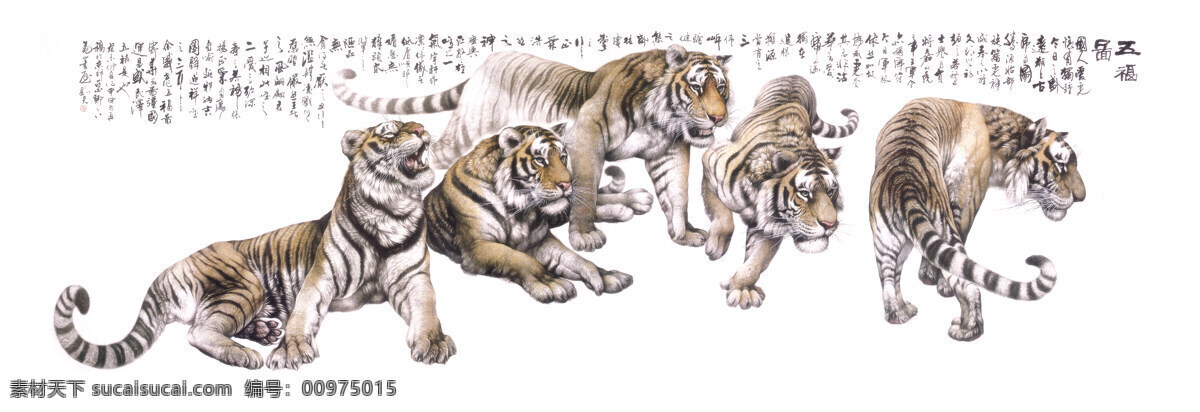 五虎图 国画老虎 石头 花丛 树叶 水墨画 水墨老虎 彩墨 老虎 猛虎 名画老虎 山峰 威严 壮观 王中王 动物 国家保护动物 山丛 咆哮 中堂画 大厅画 虎年 2010年 庚寅年 福运虎 虎年招财 国画 绘画书法 文化艺术