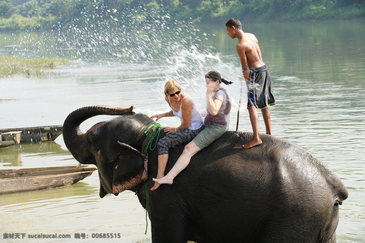 骑 大象 游客 骑大象的游客 大象摄影 动物摄影 动物世界 陆地动物 生物世界