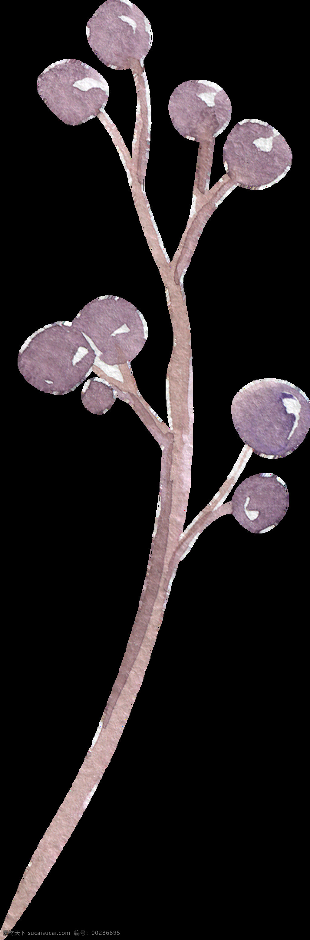 紫荆 桃花 卡通 水彩 透明 树枝 花叶 透明素材 免扣素材 装饰图案