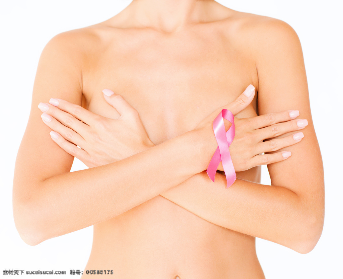 乳房 呵护 胸部 乳房呵护 关注胸部健康 女性健康 人体 人体器官图 人物图片