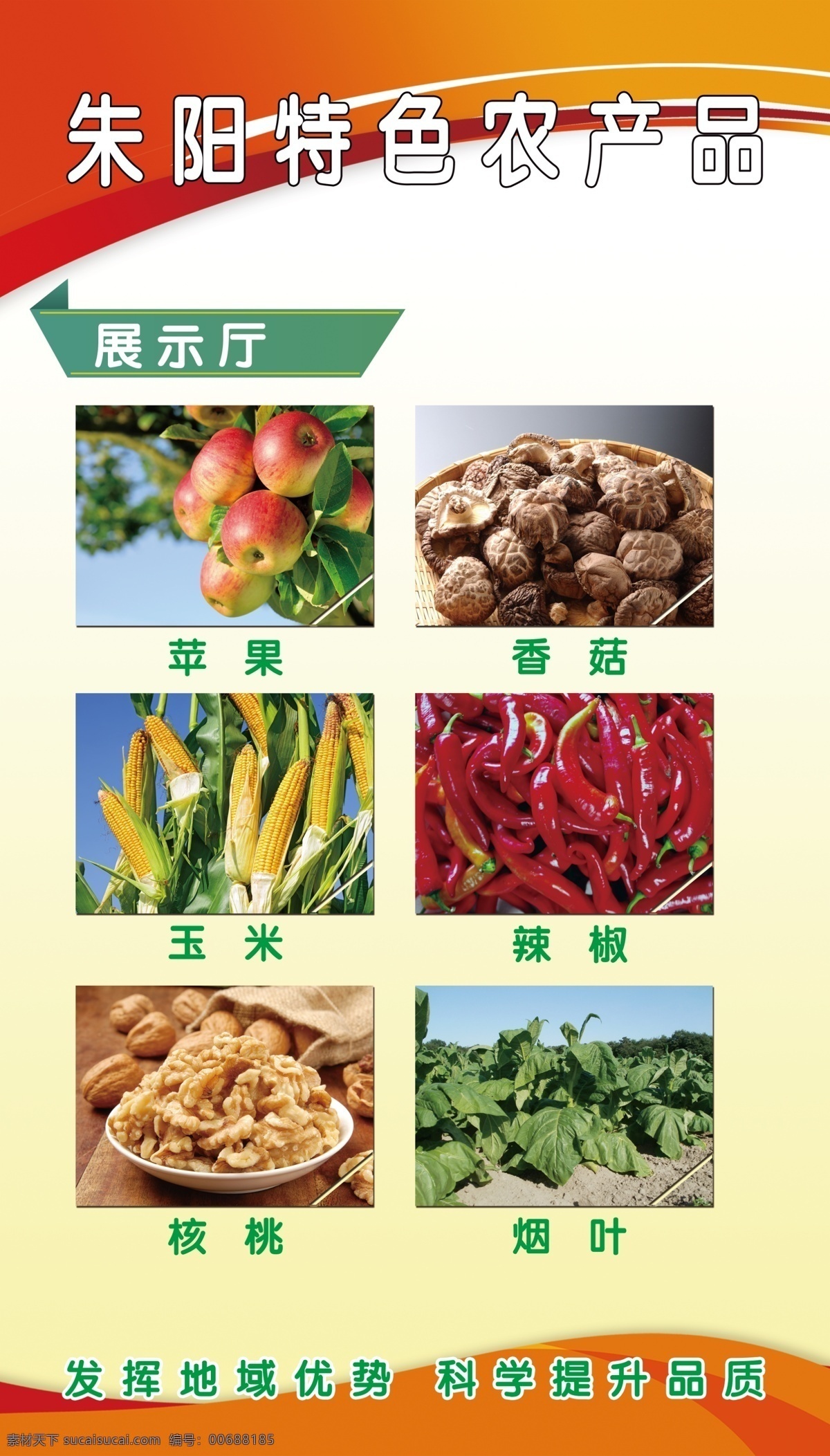 农产品特色 朱阳特色 海报 辣椒 农产品 苹果