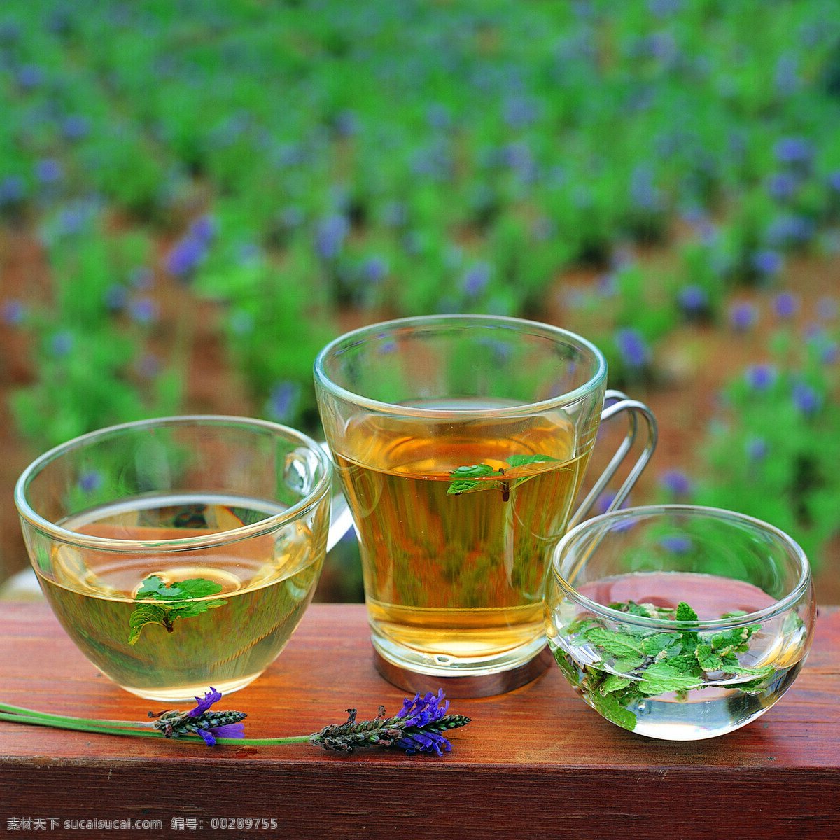 全球 首席 大百科 玻璃杯 茶杯 茶叶 茶饮 喝茶 花草 花茶 健康 品茶 清茶 生物世界