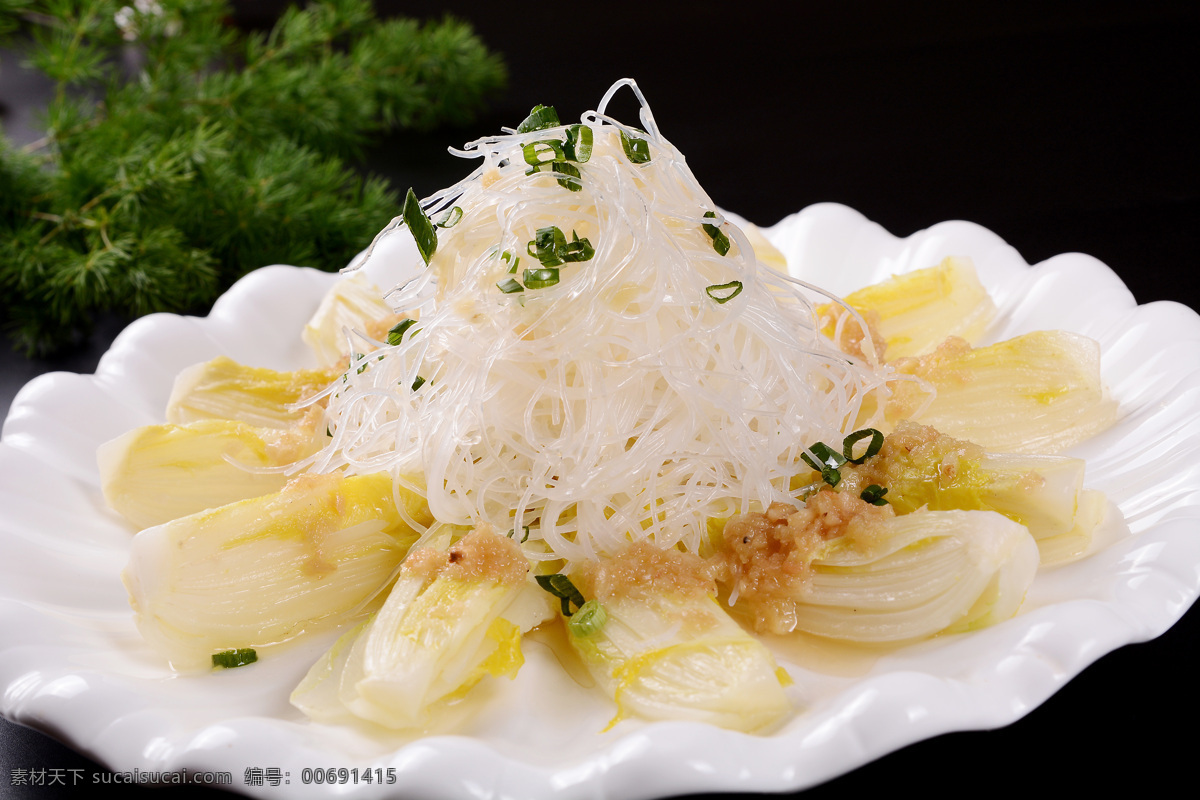 蒜蓉 粉丝 娃娃 菜 蒜蓉娃娃菜 热菜 餐饮美食 菜品图片 娃娃菜 传统美食