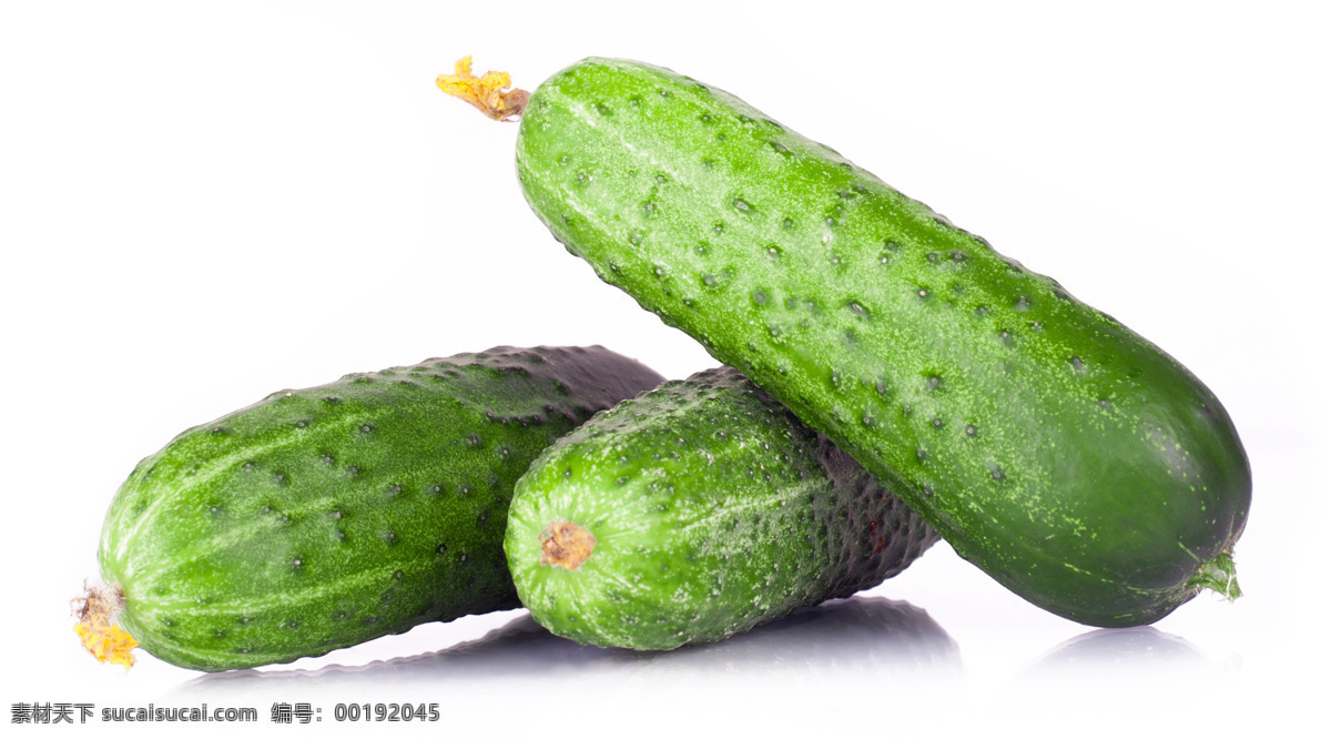 三根 黄瓜 青瓜 新鲜蔬菜 果实 水果蔬菜 餐饮美食 蔬菜图片