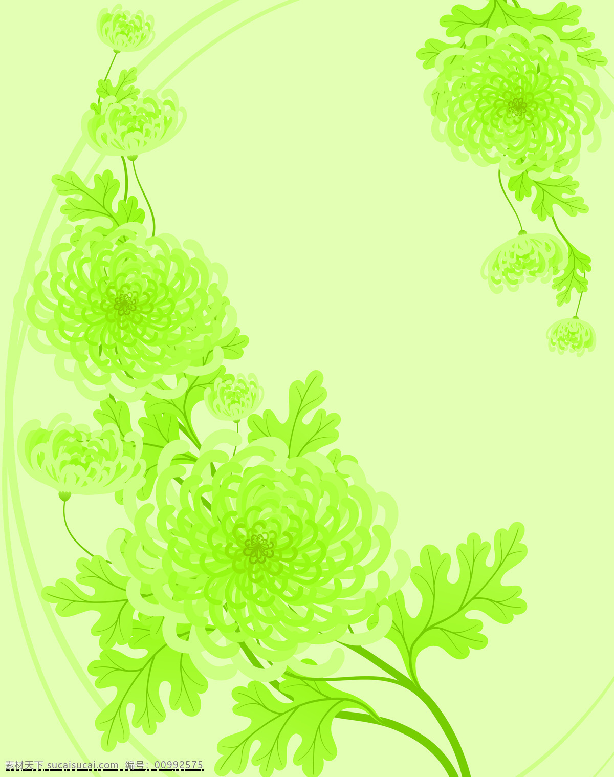 绿色 菊花 花草 花卉 两门图 移门 家居装饰素材