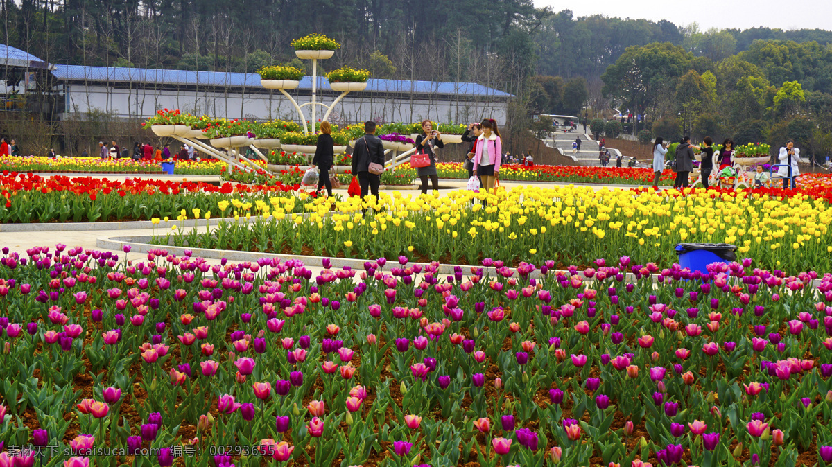 郁金香花海 长沙市 雨花区 省森林植物园 樱花节 风景 风光 建筑园林 园林建筑