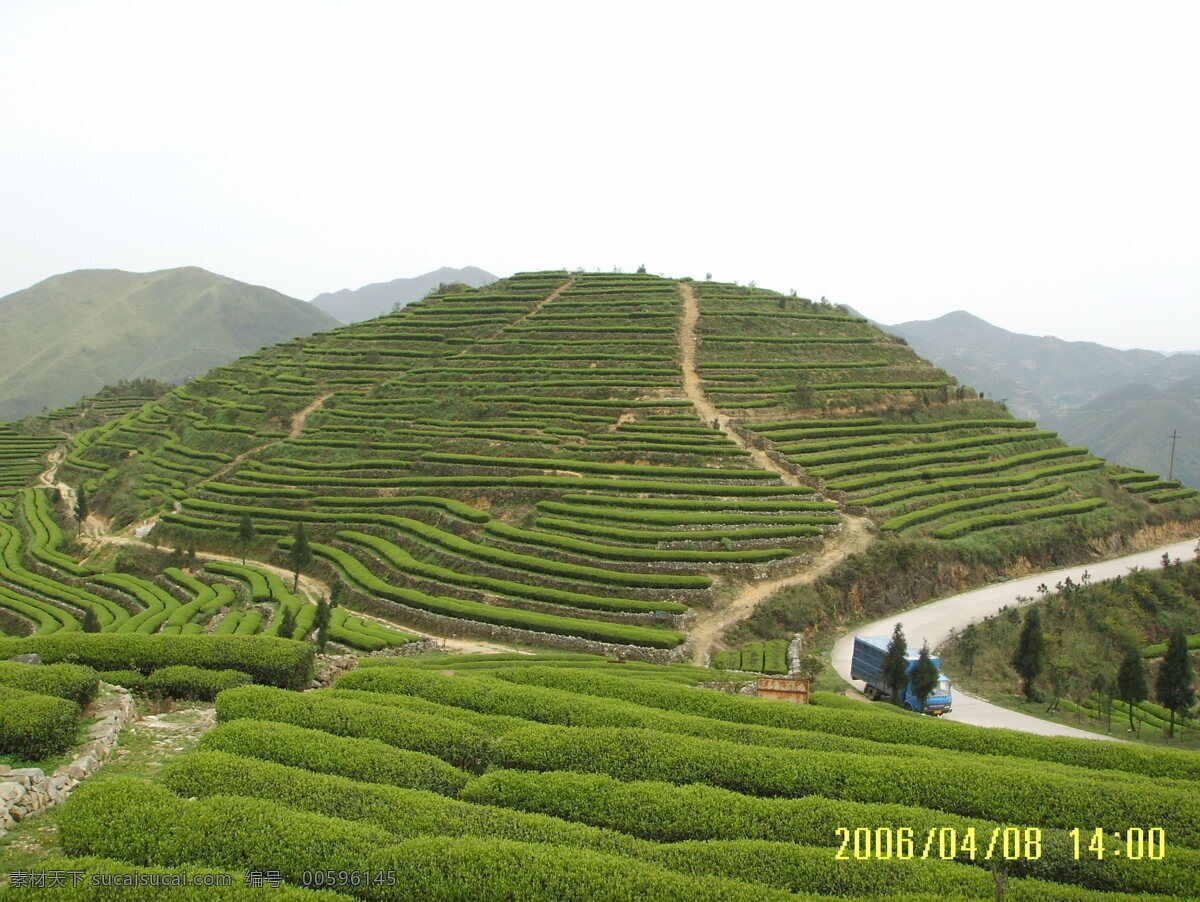 茶园风光 茶园 梯田 山峦 田园风光 自然景观