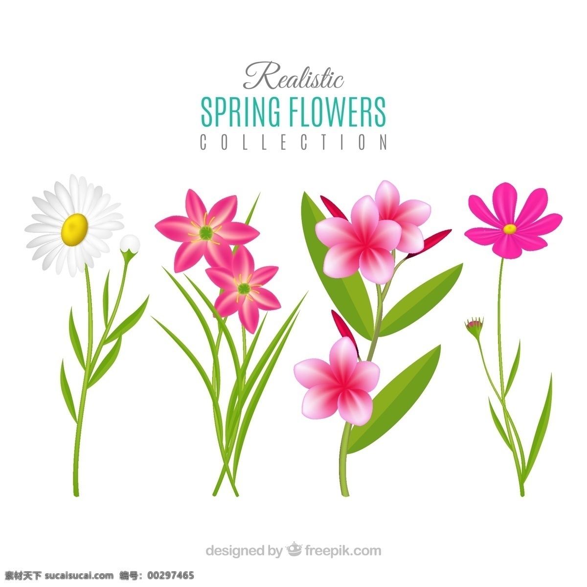 春季花卉 创意 春季 花卉 雏菊花 矢量图 生物世界 花草