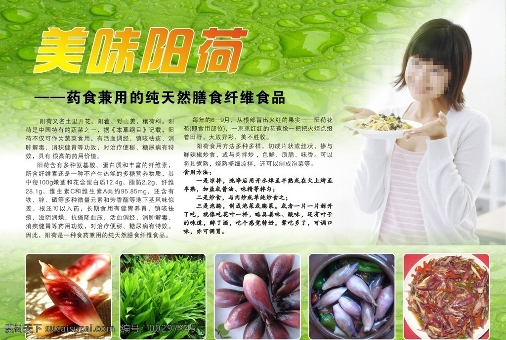 美味 阳 荷 宣传单 页 绿色 露珠 阳荷 美女 单页 厨房 人物 美食 源文件 简介 设计源文件 矢量