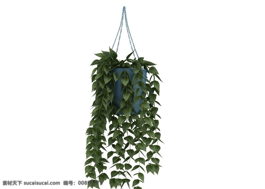吊篮 植物 3d 模型 3d模型 吊篮3d模型 吊篮3d 吊篮模型 植物3d模型 3d作品 3d设计 max