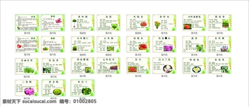植物 花卉 蔬菜 简介 挂牌 简介挂牌 植物花卉 蔬菜简介 植物花卉蔬菜 植物简介挂牌 蔬菜简介挂牌 设计模板