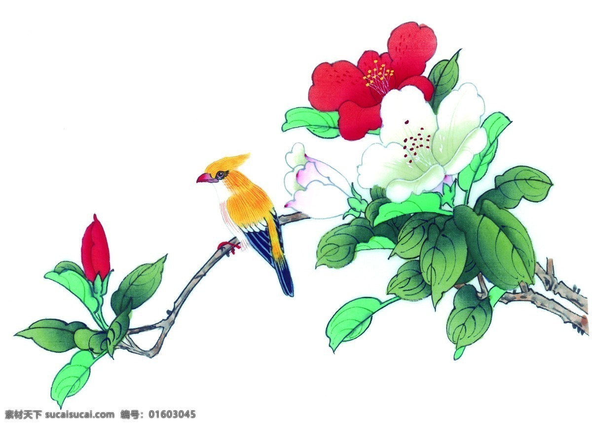 中国画 中国 国画 鸟 花草 文化艺术 绘画书法 设计图库