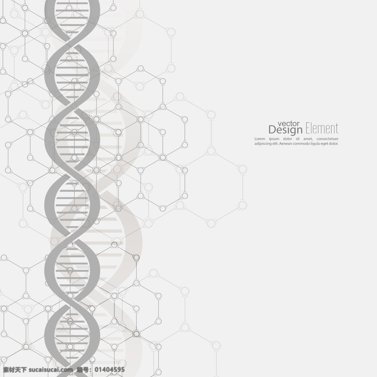 基因dna 分子结构 分子 医疗 医学 染色体 科学实验 结构 矢量 现代科技 科学研究