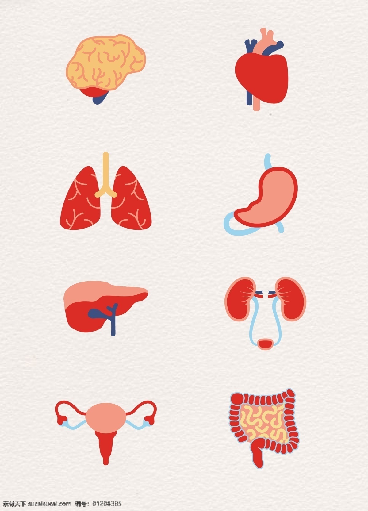 人体 器官 五脏六腑 内脏 图标 矢量 心 胃 肺 体器官 肝 脾 子宫 膀胱 肠子 肾