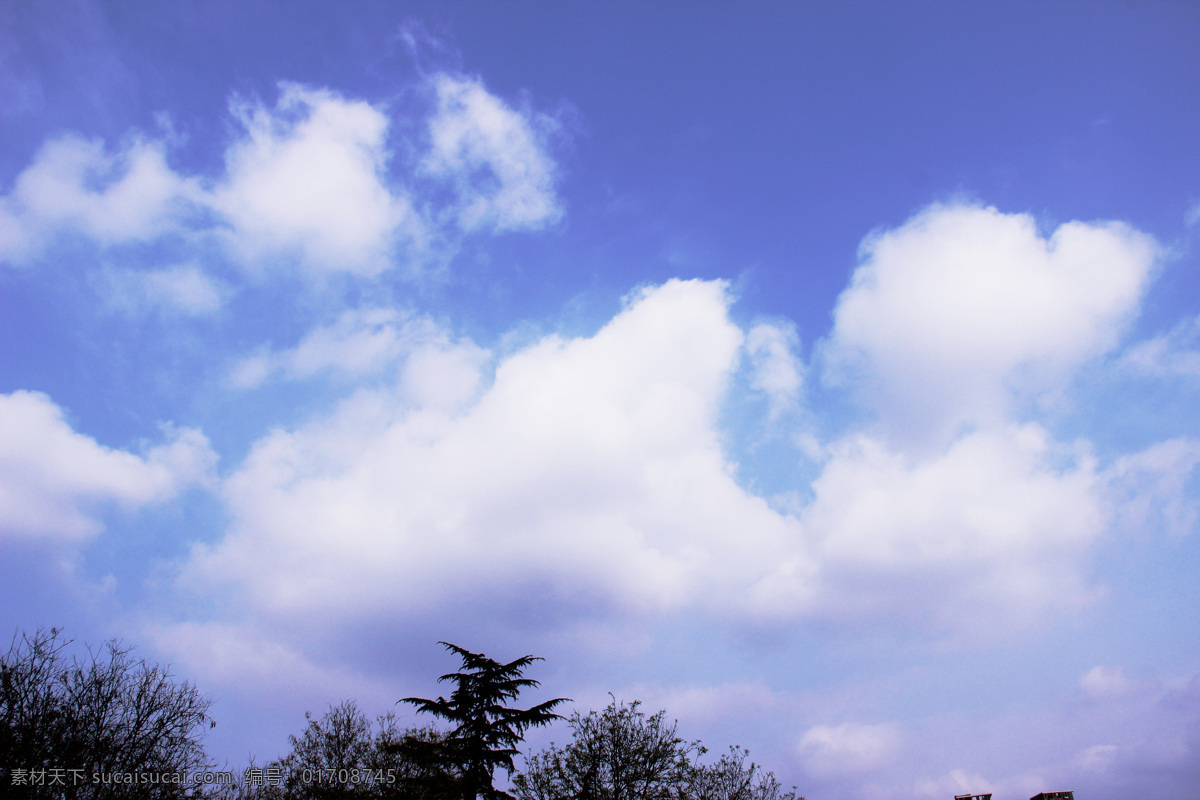 天空 晴天 云朵 蔚蓝的天空 蓝天白云背景 蓝天白云素材 蓝天白云风景 蓝天白云风光 蓝天白云图片 蓝天 白云 云彩 树 自然景观 自然风景