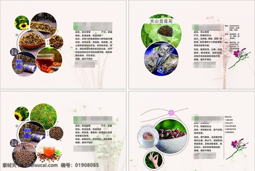 胎菊 天山雪莲 雪 菊 玫瑰 花茶 广 雪菊 昆山雪菊 昆仑胎菊 玫瑰花茶 新疆特产 青海特产 扁平化排版 广告 创意 高雅