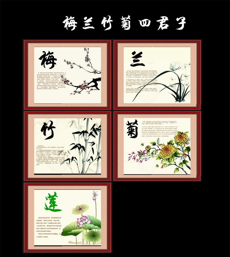 梅兰 竹 菊 四 君子 梅花 兰花 竹子 菊花 莲花含义等 美术绘画 文化艺术 矢量