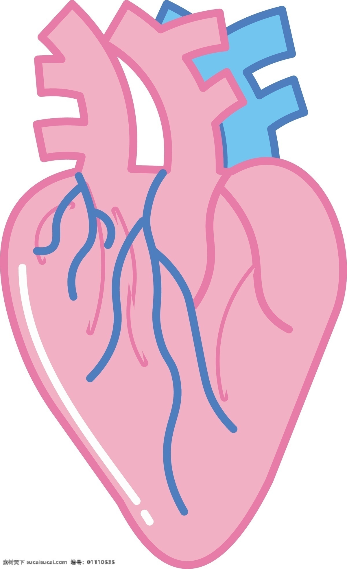人体 器官 心脏 插画 人体器官插画 卡通插画 内脏插画 人体器官 器官插画 心脏插画 粉色的心脏