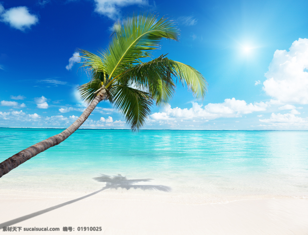 美丽 海滩 风景摄影 美丽海滩 海边风景 天空 蓝天白云 夏天 夏日 夏季 沙滩 海平面 大海 海洋 椰子 椰树 海景 景色 美景 风景 摄影图 高清图片 大海图片 风景图片
