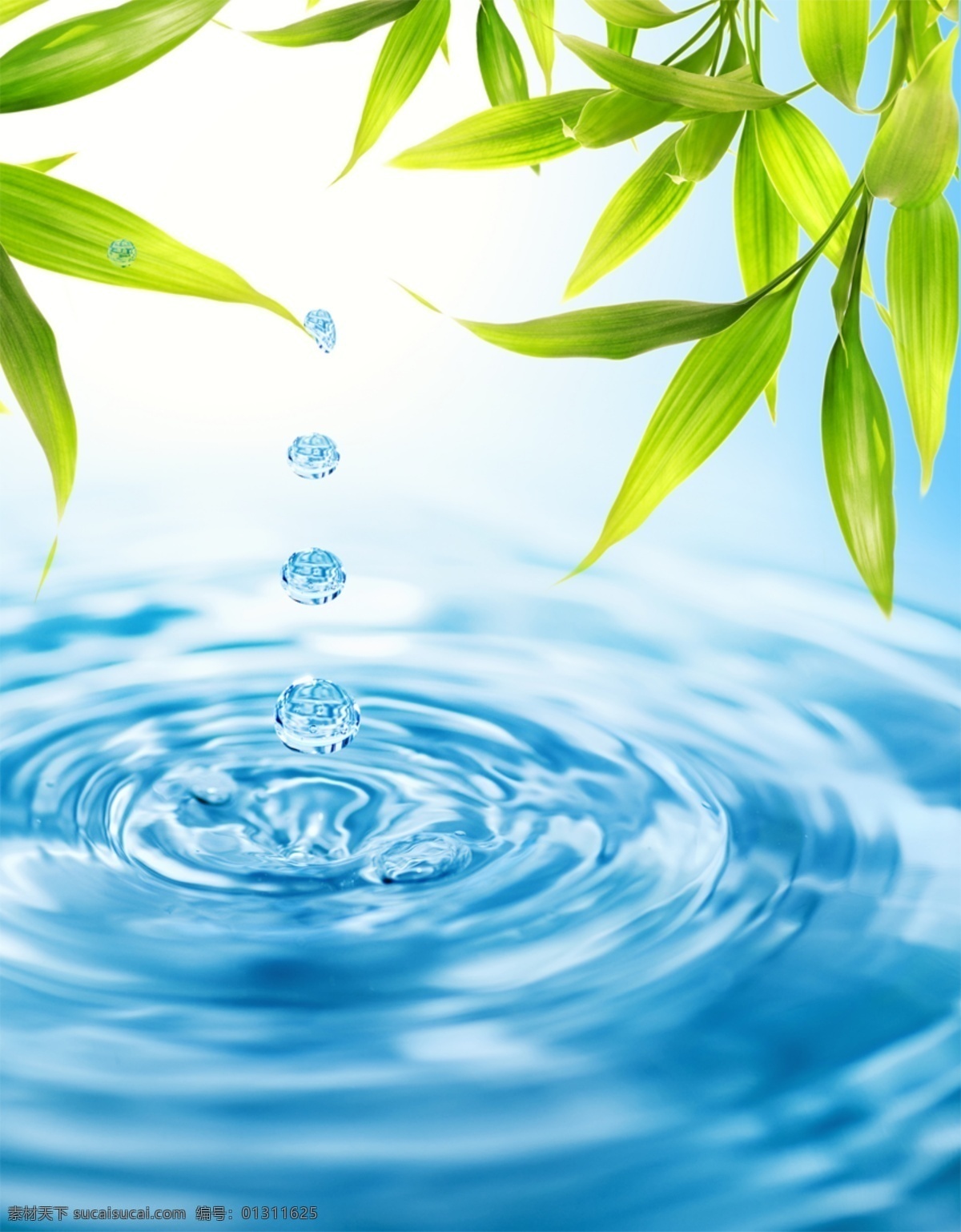 水面 水珠 背景 滴水 竹叶 psd源文件